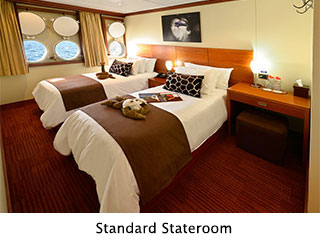 Standard Stateroom - Celebrity Xperience - Galapagos Liveaboards - Dive Discovery Galapagos