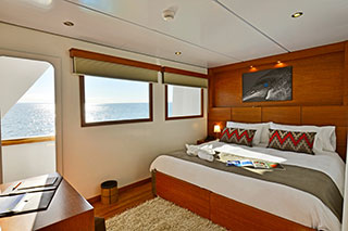 Main Deck Cabin - Celebrity Xploration - Galapagos Liveaboards - Dive Discovery Galapagos