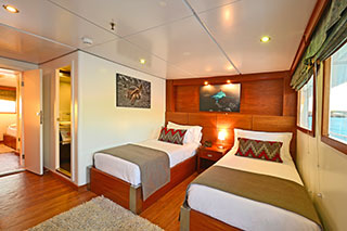 Upper Deck Cabin - Celebrity Xploration - Galapagos Liveaboards - Dive Discovery Galapagos