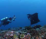 Cheng Ho - Indonesian Liveaboard