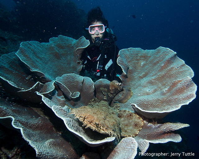 Cindi with Wobegon shark in a hard coral photo by Jerry Tuttle