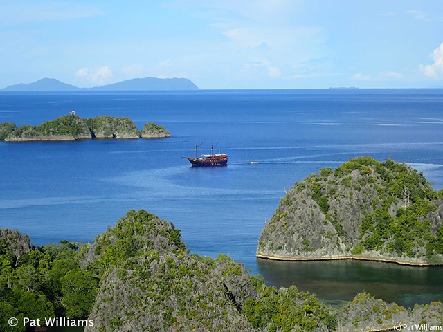 Raja Ampat to Triton Bay, 11nts Onboard Damai 1, May 9-20 2019 Trip Report - Dive Discovery