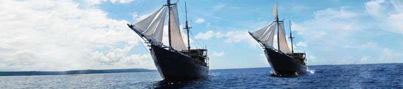 Dive Damai - Indonesia Liveaboards