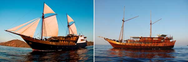 Dive Damai - Indonesia Liveaboards