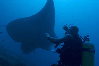 Diving Inhambane Package - Mozambique - Dive Discovery