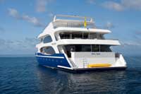 M/Y Duke of York - Maldives Live Aboards - Dive Discovery Maldives