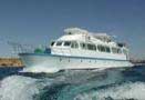 Egypt - Red Sea Live Aboards