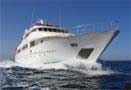Egypt - Red Sea Live Aboards