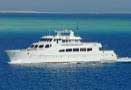 Egypt - Red Sea Live Aboards