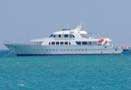 Egypt - Red Sea Live Aboards