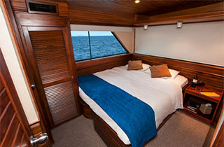Cabin - Galapagos Liveaboards - Dive Discovery Galapagos