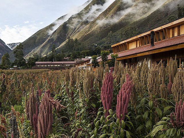 Explora's lodge in Machu Picchu & Sacred Valley