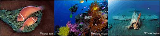 Febrina Special PNG Liveaboard Trip ~ May 17-29 2011