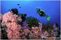 Febrina Special PNG Liveaboard Trip ~  May 17-29 2011
