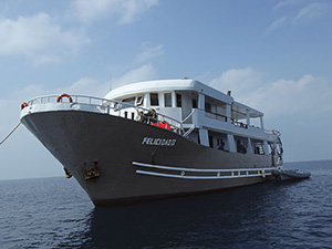 MY Felicidad II - Red Sea Liveaboards - Dive Discovery Red Sea