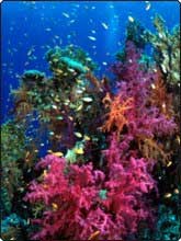 Bligh Water in Fiji
