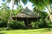 Matava