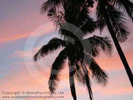 The Lagoon Resort Fiji