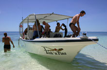 Fish 'n Fins - Dive Operators - Dive Discovery Micronesia