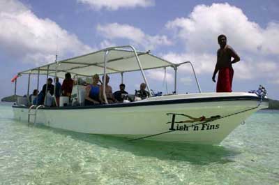 Palau Dive Operators: Fish n Fins - Dive Discovery Micronesia
