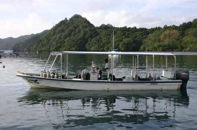 Palau Dive Operators: Fish n Fins - Dive Discovery Micronesia