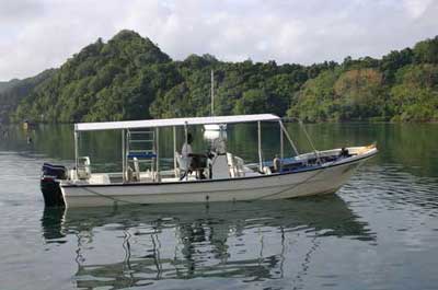 Palau Dive Operators: Fish n Fins - Dive Discovery Micronesia