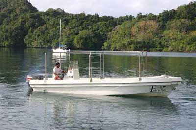 Palau Dive Operators: Fish n Fins - Dive Discovery Micronesia