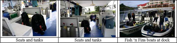 Palau Dive Operators: Fish n Fins - Dive Discovery Micronesia