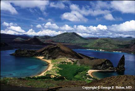 Diving Galapagos Islands
