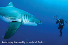 EXTREME ADVENTURES with Amos Nachoum  - Dive Discovery