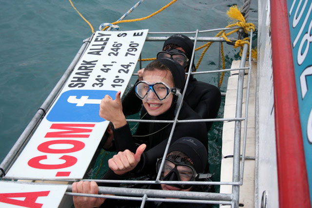 Great White Shark Cage Diving - South Africa Diving - Dive Discovery South Africa