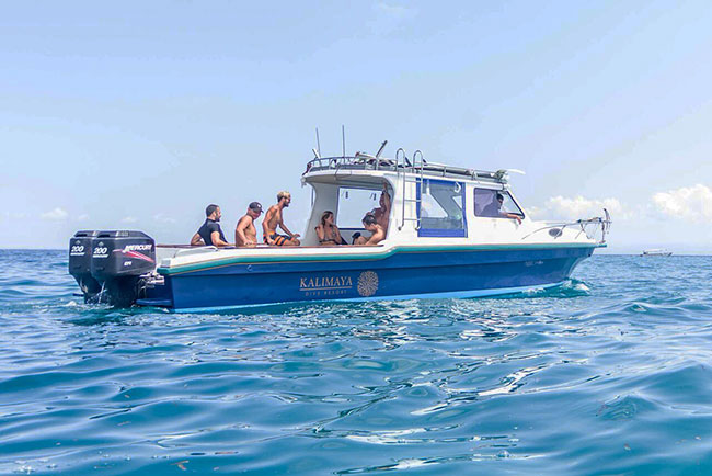 Dive boat - Kalimaya Dive Resort - Indonesia Dive Resorts