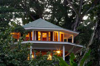 Treetop Honeymoon Vale - Koro Sun Resort - Dive Discovery Fiji Islands
