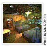 Kosrae Village Resort  - Kosrae Dive Resorts - Dive Discovery Micronesia