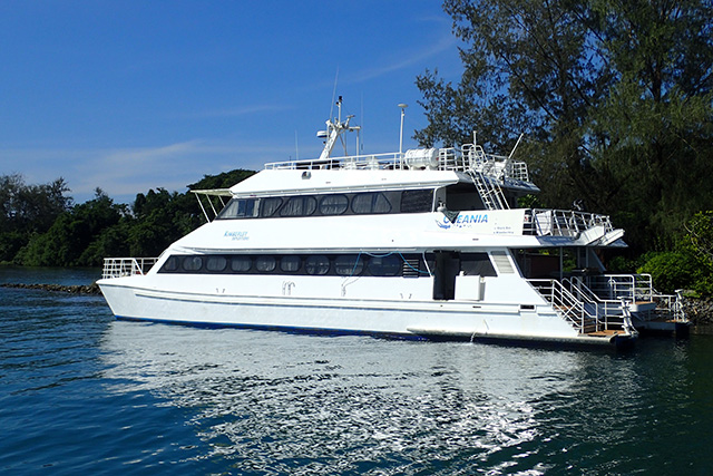 MV Oceania - PNG Liveaboards - Dive Discovery PNG