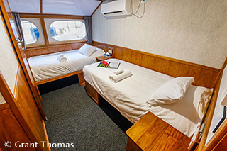 Twin cabin - MV Oceania
