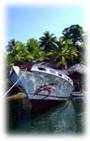 Indonesia Live Aboards - MV Odyssea 1
