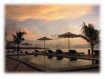Indonesia Live Aboards - MV Odyssea 1