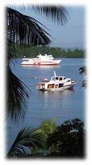 Indonesia Live Aboards - MV Odyssea 1
