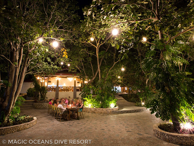 Pool & Garden - Magic Oceans Dive Resort - Philippines Dive Resorts