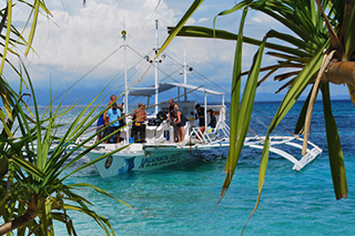 Dive brief - Malapascua Exotic Island Dive Resort - Philippines Dive Resort