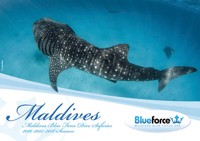 Maldives Blue Force Dive Tours