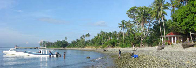Maluku Divers Ambon  - Indonesia Dive Resorts