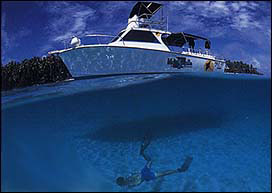 Marshalls Dive Adventures - Dive Operators - Dive Discovery Micronesia