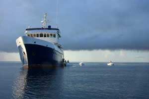 M.V. Maya's Dugong - Africa Live Aboards - Dive Discovery Africa