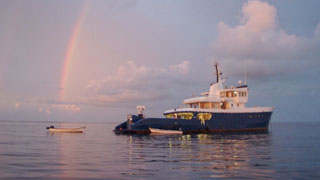 MV Maya's Dugong - Seychelles Liveaboards - Dive Discovery Seychelles