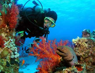 Israel, Jordan & Mediterranean Red Sea Diving & Land Safari (8-day) - Mediterranean and Red Sea Diving