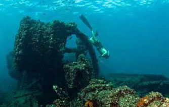 Israel, Jordan & Mediterranean Red Sea Diving & Land Safari (8-day) - Mediterranean and Red Sea Diving