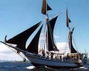 Monalisa Indonesian Liveaboards