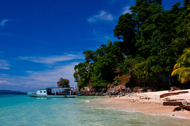 Murex Bangka - Indonesia Dive Resorts - Dive Discovery Indonesia